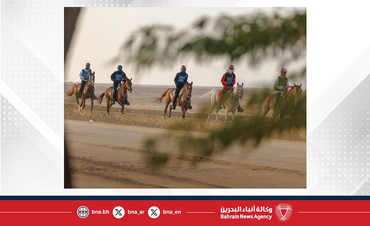 الاتحاد الملكي البحريني للفروسية وسباقات القدرة يستعد لتنظيم السباقات الرمضانية التأهيلية المحلية والدولية